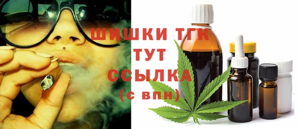 амф Арсеньев