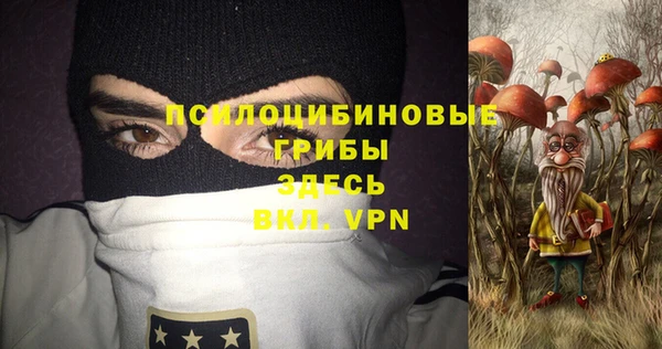 дживик Аркадак