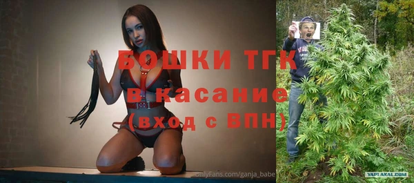 амф Арсеньев
