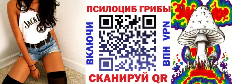 Псилоцибиновые грибы Cubensis  Афипский 